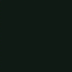 Rust-Oleum 7778830 High Heat Spray Paint, 12 Ounce, Bar-B-Que Black, 12 Fl Oz (Pack of 2)