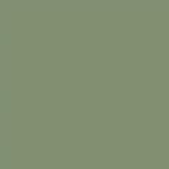 Rust-Oleum 1920830-6PK Specialty Camouflage Spray Paint, 12 oz, Army Green, (Pack of 6)