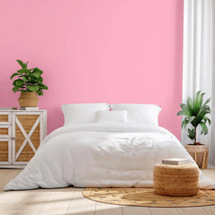 Rust-Oleum Color Spark Interior Paint and Primer in One, Matte, Frosé, 1 Gallon