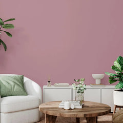 Rust-Oleum Color Spark Interior Paint and Primer in One, Matte, Dusty Orchid, 1 Gallon