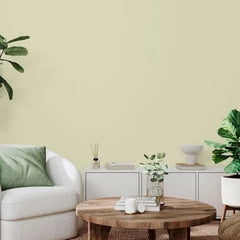 Rust-Oleum Color Spark Interior Paint and Primer in One, Matte, Frothy Matcha, 1 Gallon