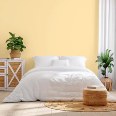 Rust-Oleum Color Spark Interior Paint and Primer in One, Matte, Tahitian Vanilla, 1 Gallon