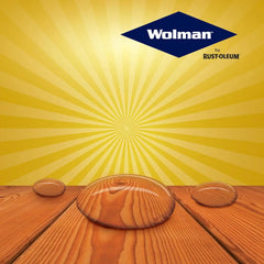 Wolman 14406 F&P Oil-Based Wood Finish & Preservative Transparent Stain, Gallon, Redwood