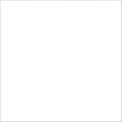 13 oz Zinsser 03959 White Zinsser, Bulls Eye Oil-Based High Hide Stain Blocking Primer