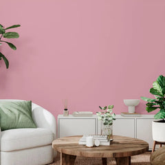 Rust-Oleum Color Spark Interior Paint and Primer in One, Matte, Peony, 1 Gallon