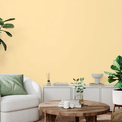 Rust-Oleum Color Spark Interior Paint and Primer in One, Matte, Tahitian Vanilla, 1 Gallon