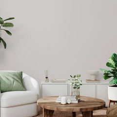 Rust-Oleum Color Spark Interior Paint and Primer in One, Matte, Perfectly Imperfect, 1 Gallon