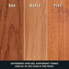Varathane Premium Fast Dry Wood Stain Spray | 1 Hour Dry Time | 1 Coat Color | Interior Wood Stain | Furniture, Cabinets, Doors, Trim | 10.25 oz | 6 Pack | Cognac