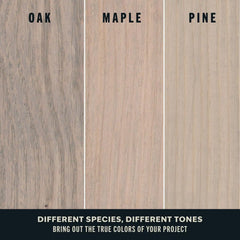 Varathane Premium Fast Dry Wood Stain | 1 Hour Dry Time | 1 Coat Color | Interior Wood Stain | Furniture, Cabinets, Doors, Trim | Half Pint | Bone