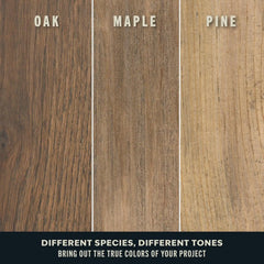 Varathane Premium Fast Dry Wood Stain Spray | 1 Hour Dry Time | 1 Coat Color | Interior Wood Stain | Furniture, Cabinets, Doors, Trim | 10.25 oz | 6 Pack | Carbon Gray