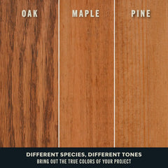 Varathane Premium Fast Dry Wood Stain Spray | 1 Hour Dry Time | 1 Coat Color | Interior Wood Stain | Furniture, Cabinets, Doors, Trim | 10.25 oz | American Walnut